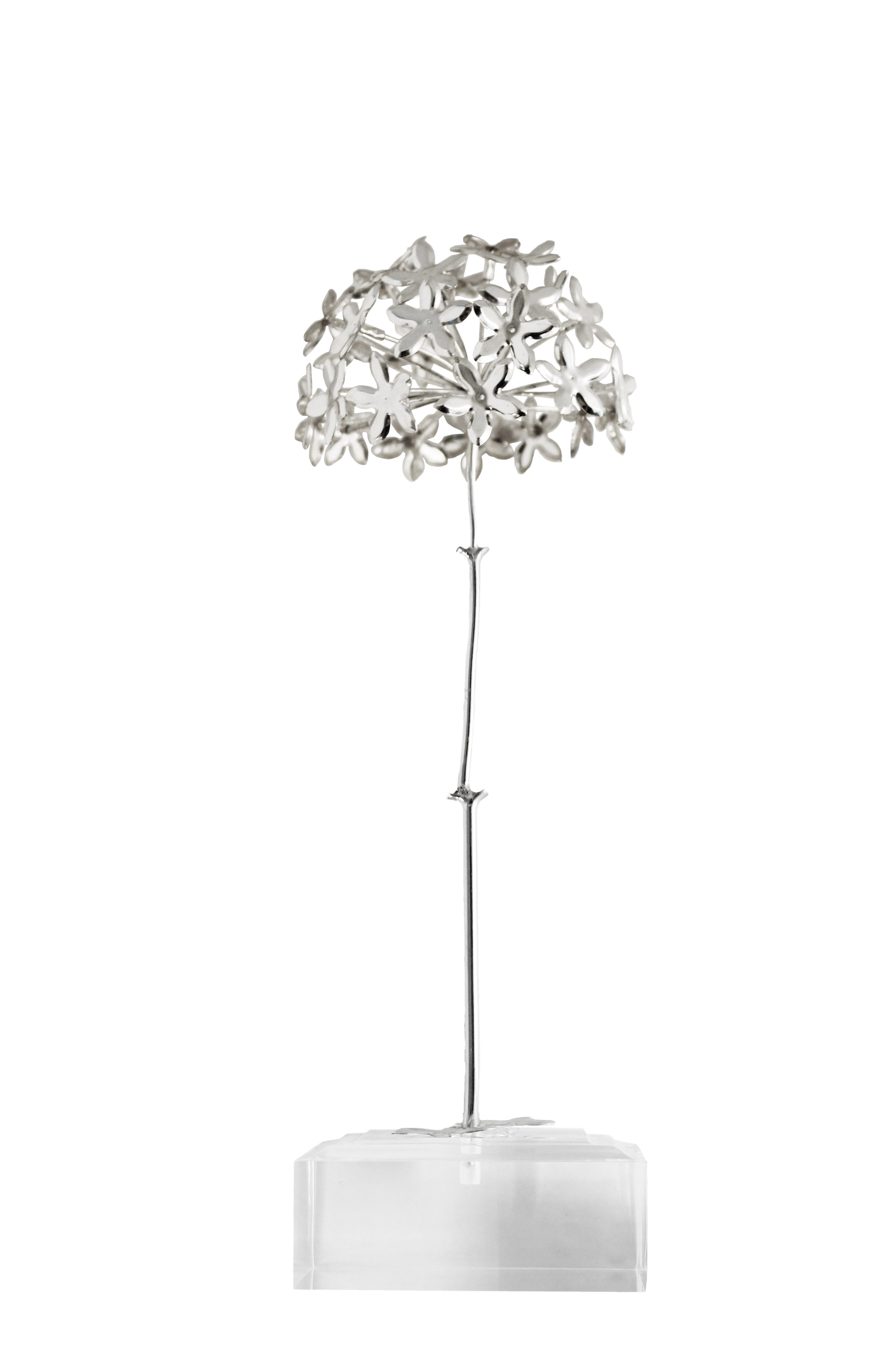 Trofeo Biznaga Biznaga grande