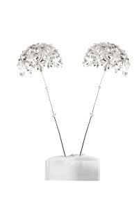 Biznaga Mediana-II-doble