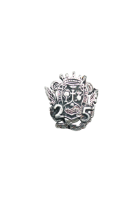 Colegio abogados pin