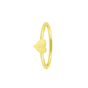 Ani-Gold-corazon Ani-Gold-corazon